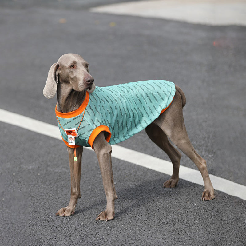 Big Dog Clothes