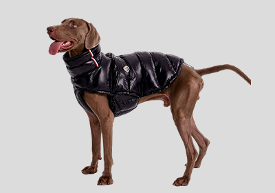 Coats & Jackets