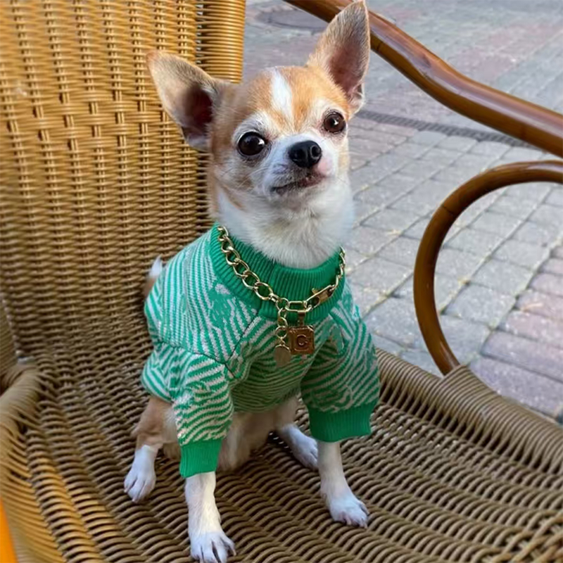 dog sweater knitting pattern easy free Proud Puppy Dog Sweater Pattern (Knit)  Lion Brand Yarn