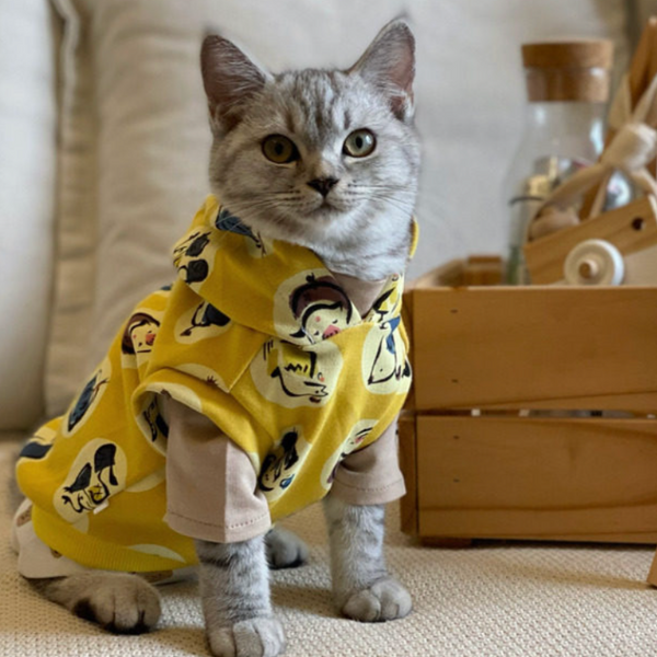 PIKAPIKA