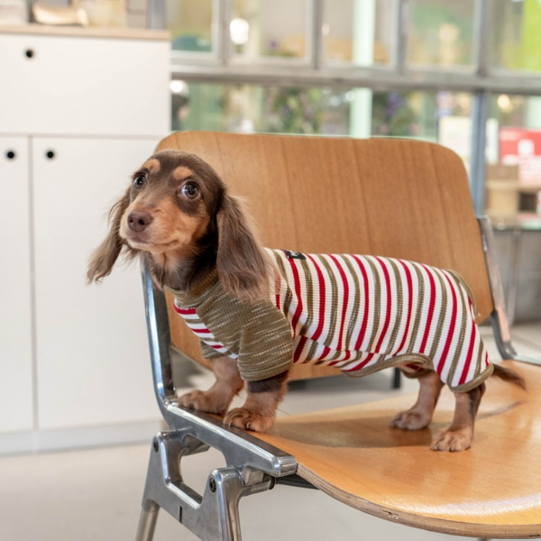 PIKAPIKA