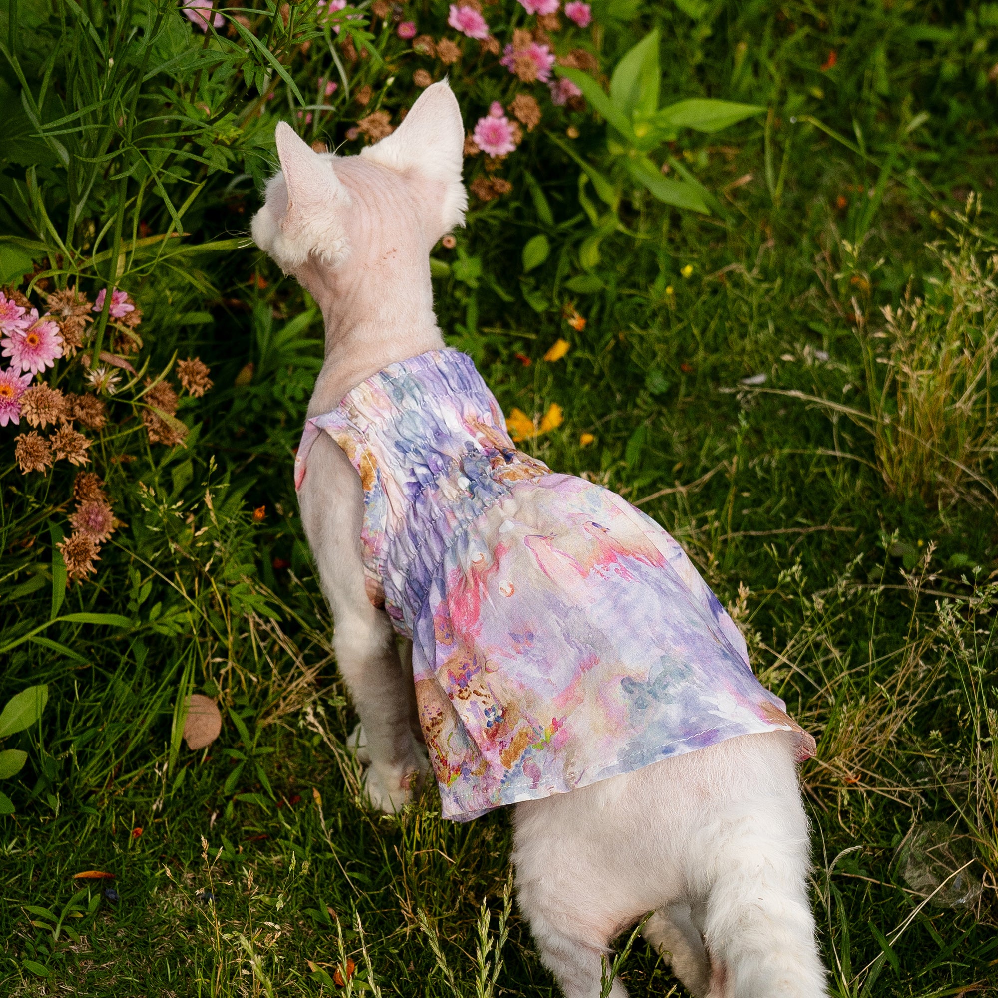 blue dress for baby girl Little Princess Cat Dress