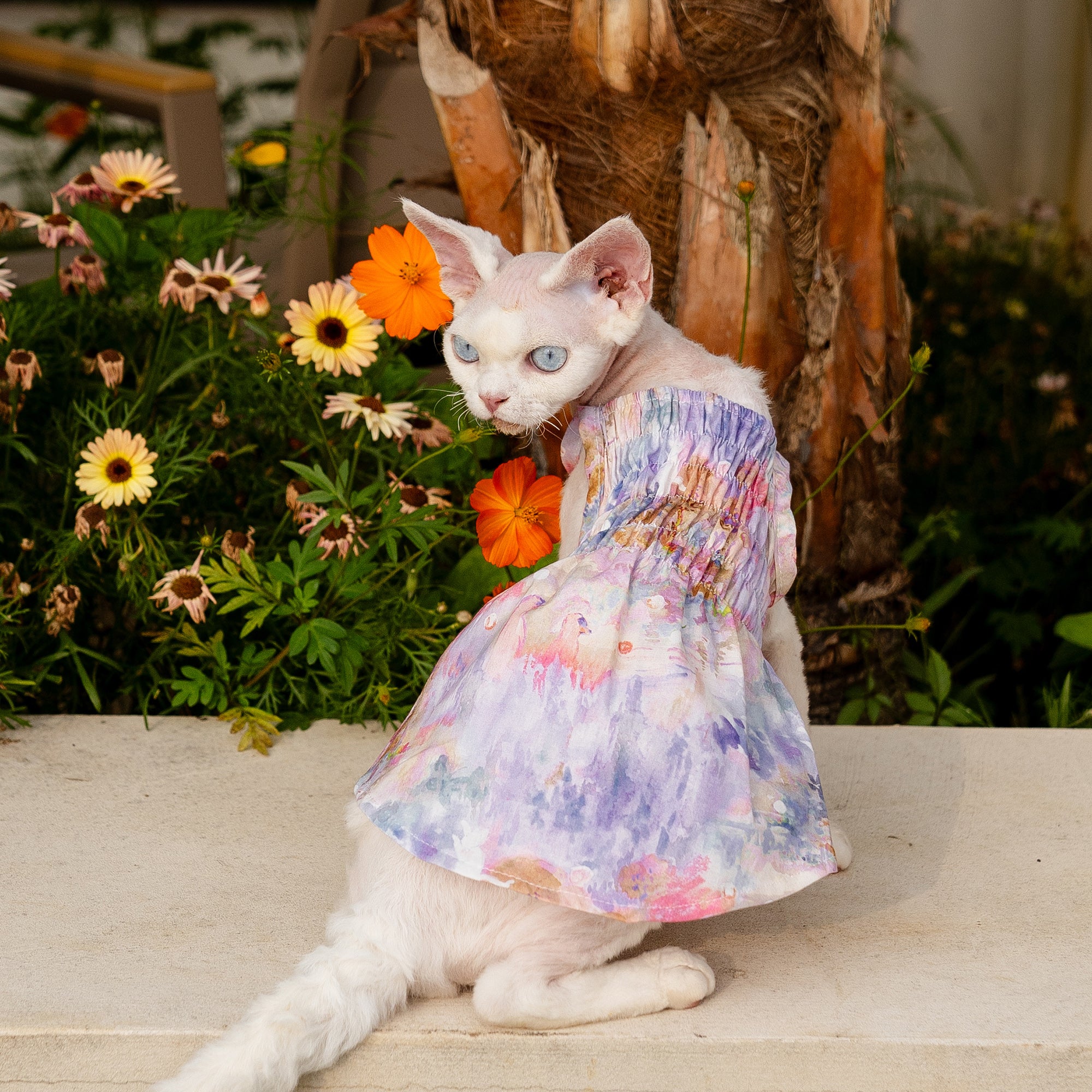 cat princess dress Little Princess Cat Dress