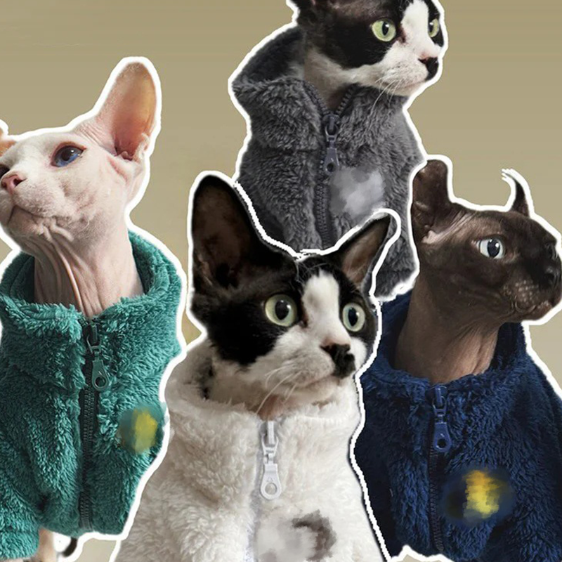 8_79c8059b-851f-4021-a224-