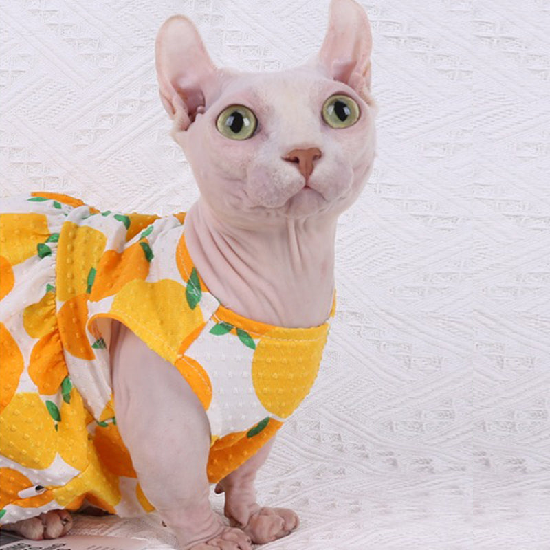 HOT Sphynx Cat Cat Clothes Shop Cute Cat Dress Sphynx Cat