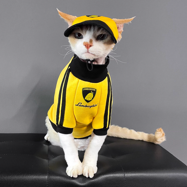PIKAPIKA