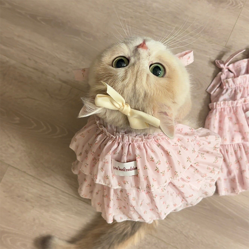 pink chicken cat dress Let's get catty! Our Girls Elsie Dress is the cat's meow in the charming Cool Cats print. Who else is ready for a twinning moment with their little sis or furry friend?