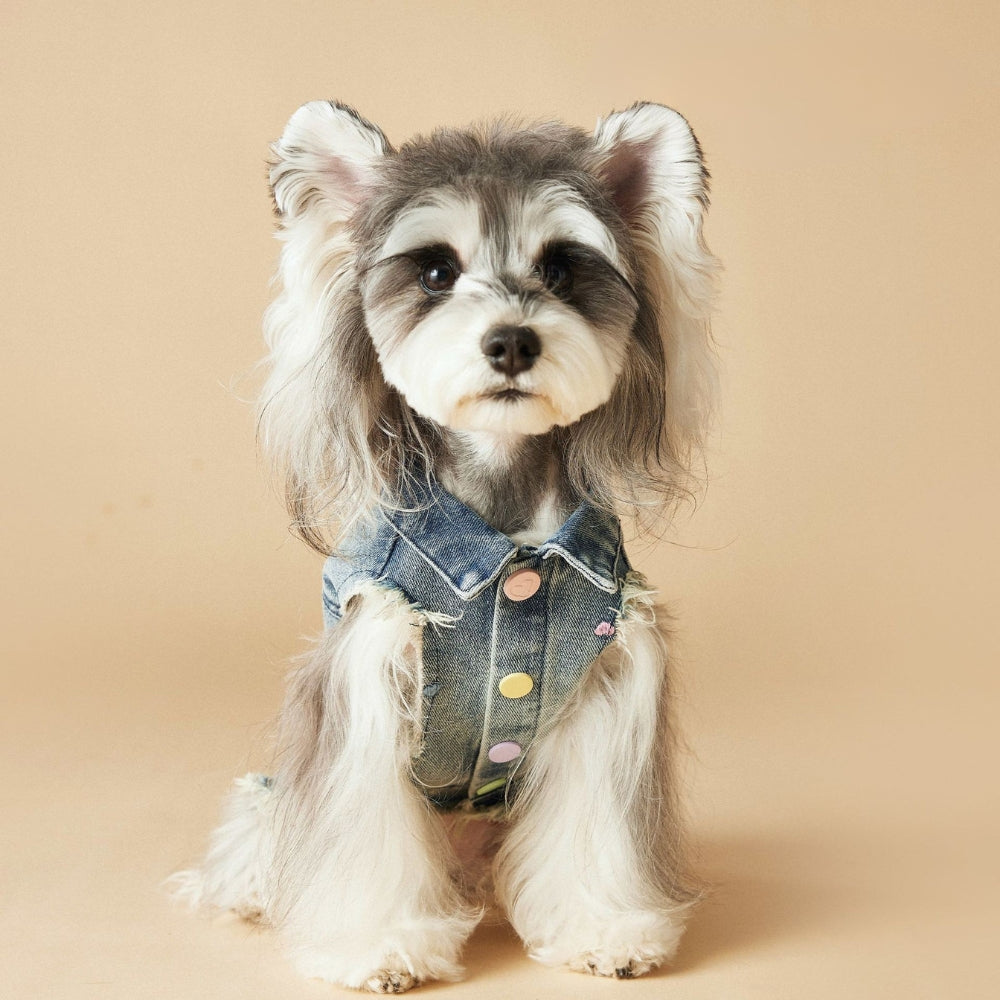 Denim Vest Jacket Dachshund Dog Clothes With D-ring - PIKAPIKA