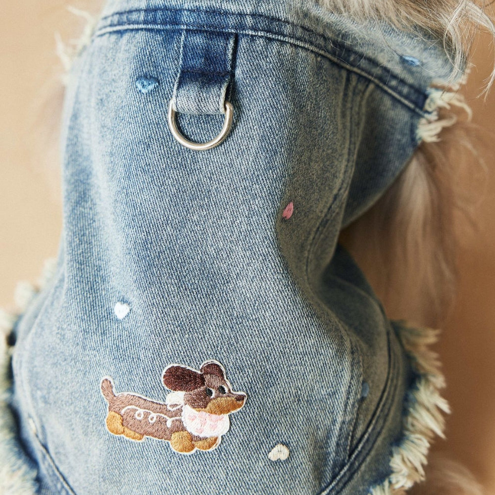 Denim Vest Jacket Dachshund Dog Clothes With D-ring - PIKAPIKA