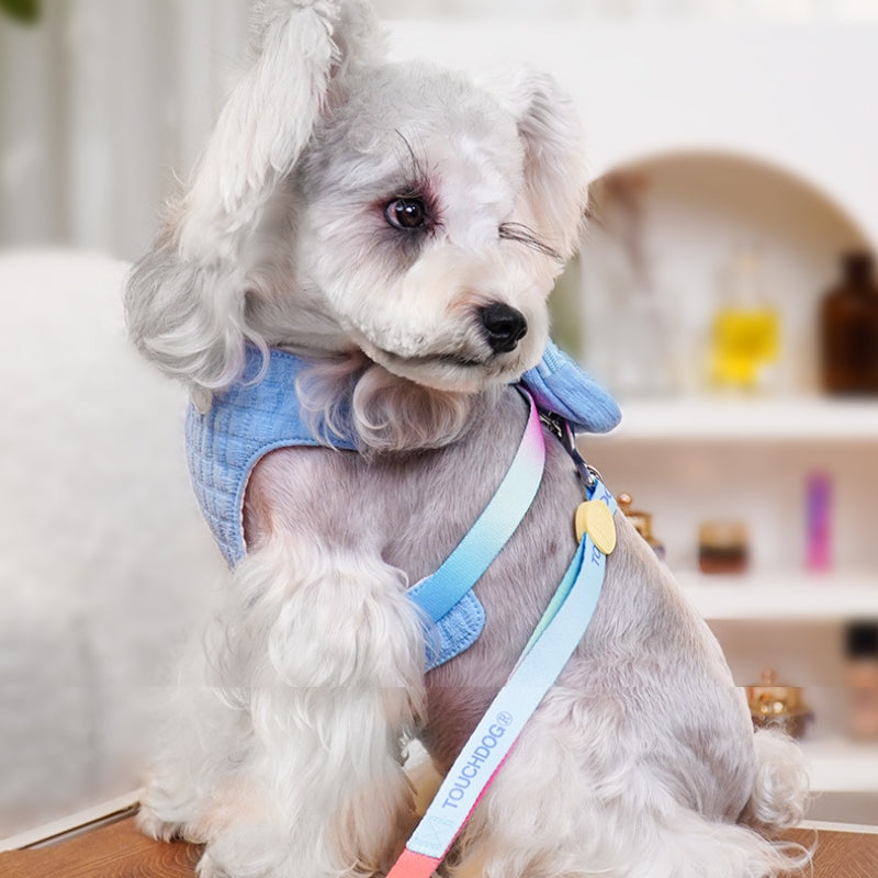 Dog Harness Leash Set Adjustable With Small Bag for Small Medium Dog - PIKAPIKA