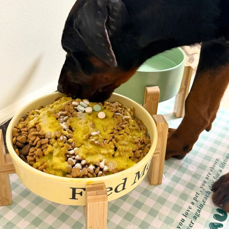 Dog Slow Feeder Ceramic Bowl With Wood Holder - PIKAPIKA