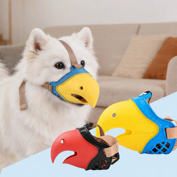 PIKAPIKA