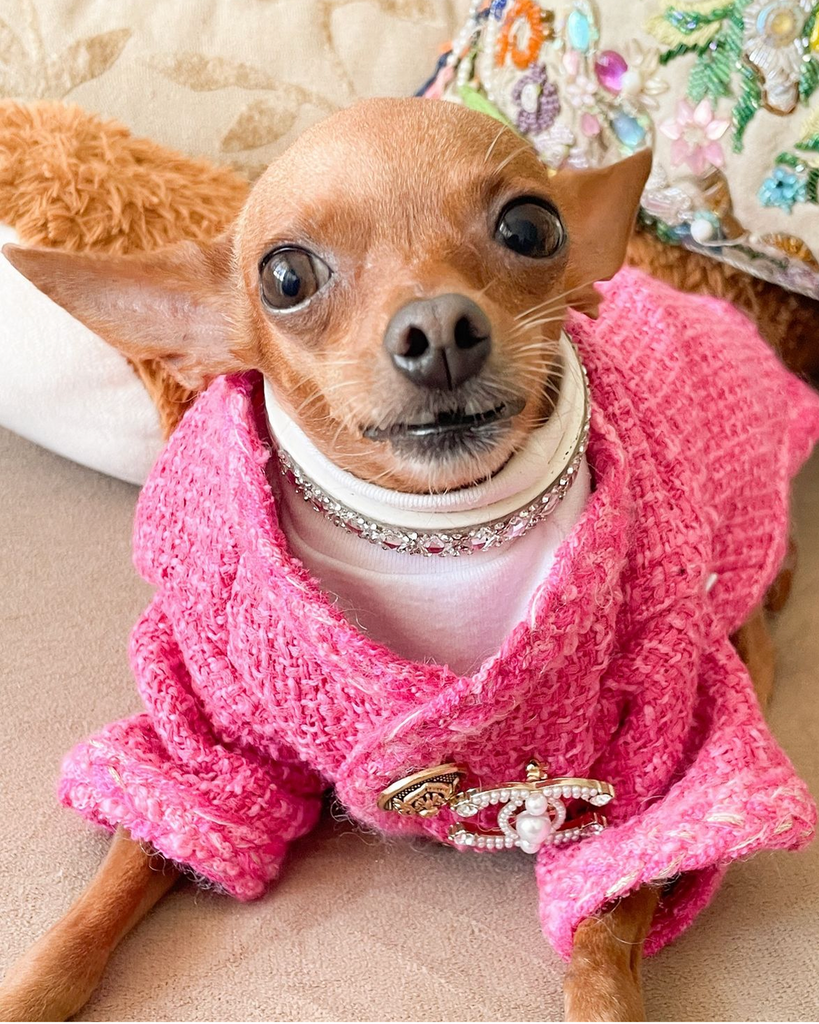 Hot Likes Tweed Style Jacket Warm Dog Clothes Chihuahua - PIKAPIKA