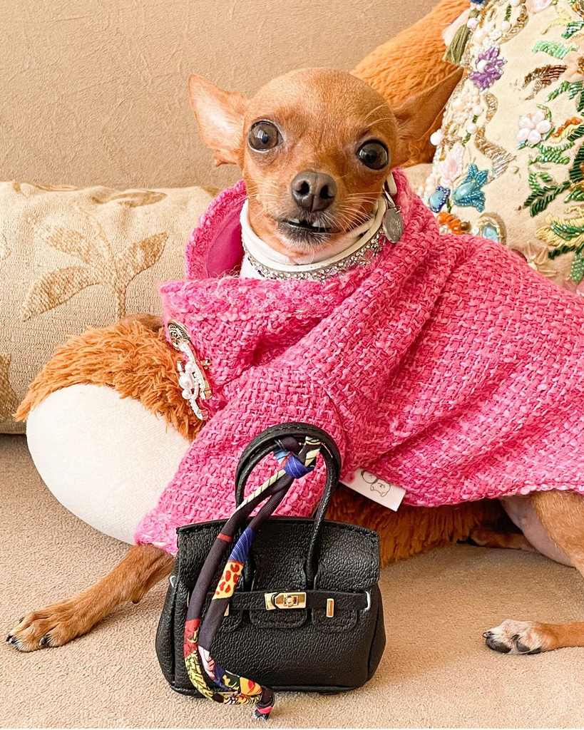 Hot Likes Tweed Style Jacket Warm Dog Clothes Chihuahua - PIKAPIKA