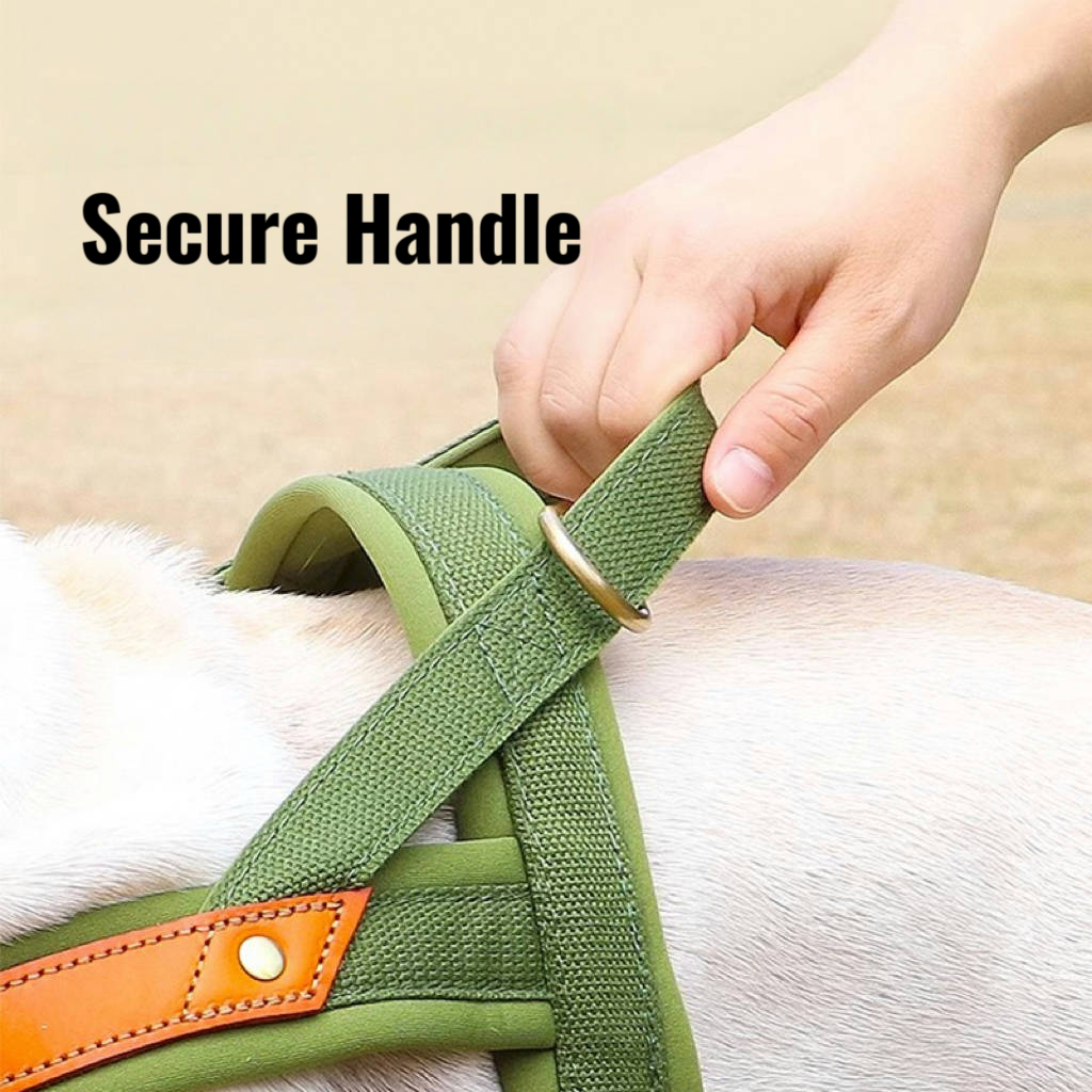 Essential Dog Harness No Pull Vest-Style Double-Clip Control with Leashes - PIKAPIKA