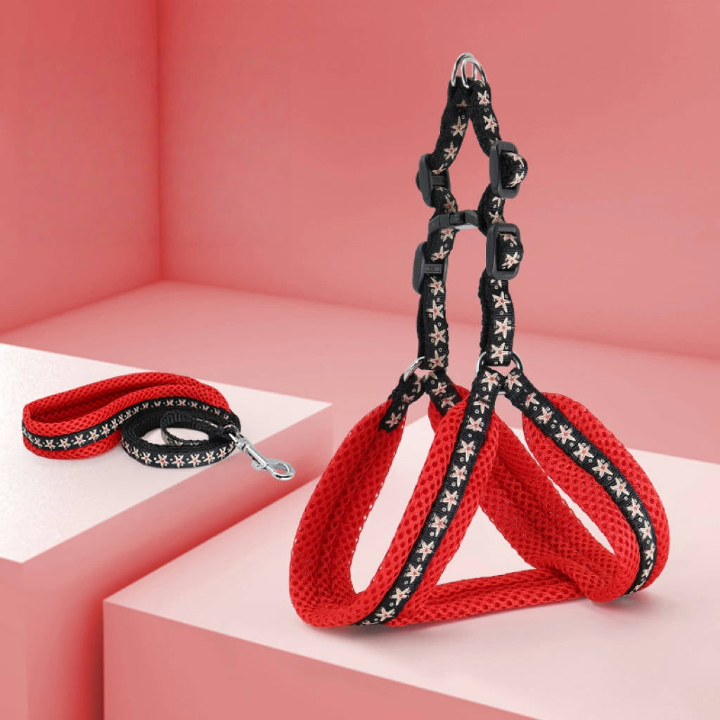 Small Dog Harness with Leash Vest-Style Set - PIKAPIKA