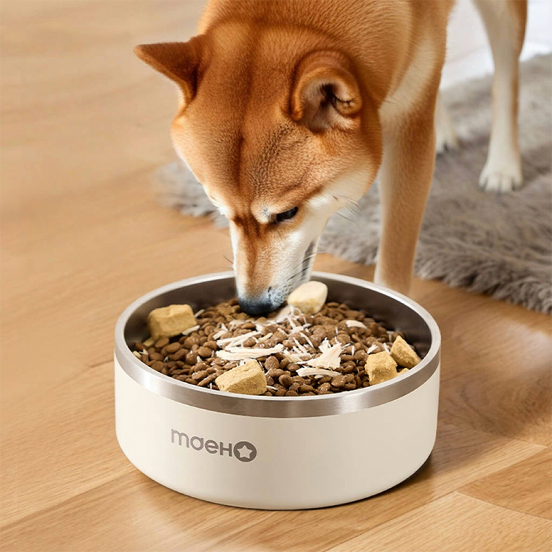 Stainless Steel Dog Bowl Anti-Spill Pet Food Feeder Waterer - PIKAPIKA