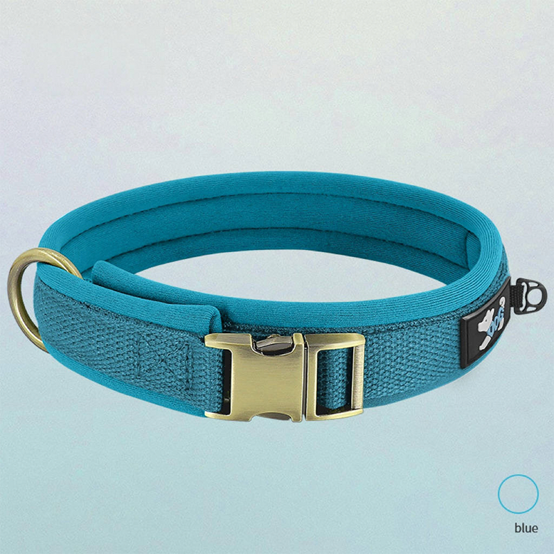 Personalized Dog Collar Anti-Lost Design for Outdoor Use - PIKAPIKA