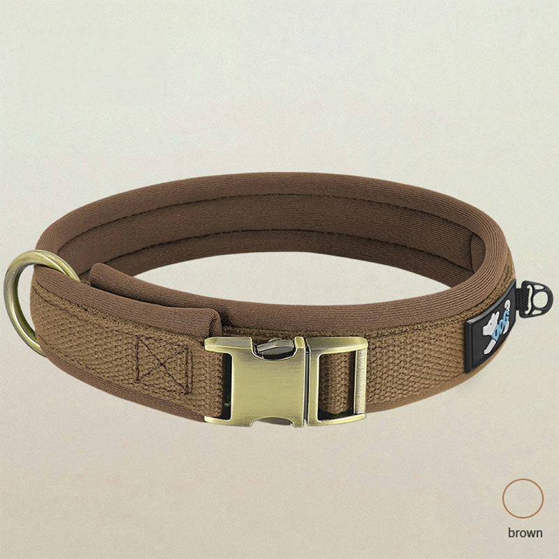 Personalized Dog Collar Anti-Lost Design for Outdoor Use - PIKAPIKA