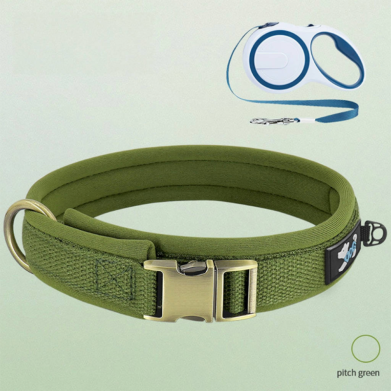 Personalized Dog Collar Anti-Lost Design for Outdoor Use - PIKAPIKA