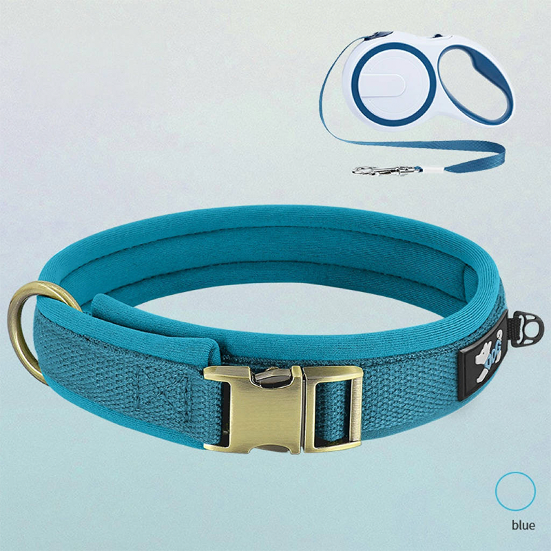 Personalized Dog Collar Anti-Lost Design for Outdoor Use - PIKAPIKA