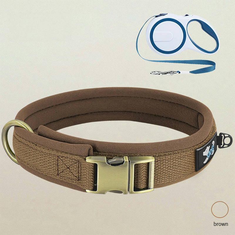 Personalized Dog Collar Anti-Lost Design for Outdoor Use - PIKAPIKA