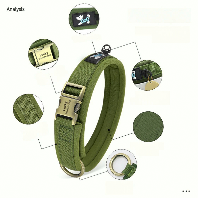 Personalized Dog Collar Anti-Lost Design for Outdoor Use - PIKAPIKA