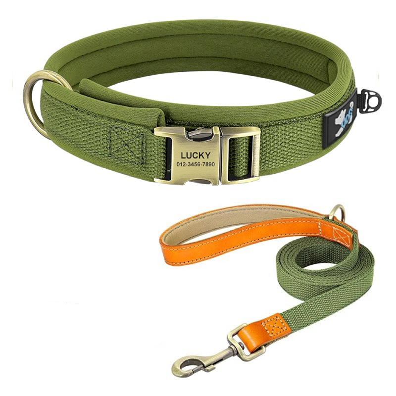 Personalized Dog Collar Anti-Lost Design for Outdoor Use - PIKAPIKA