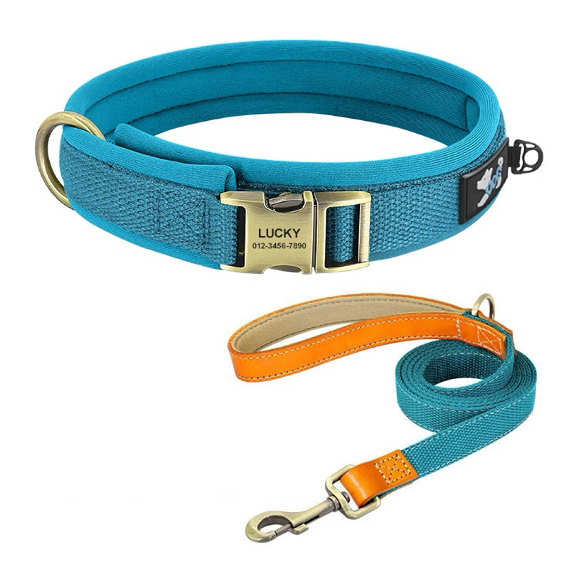 Personalized Dog Collar Anti-Lost Design for Outdoor Use - PIKAPIKA
