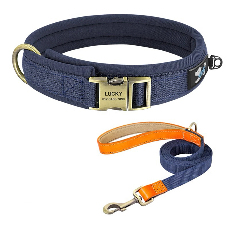 Personalized Dog Collar Anti-Lost Design for Outdoor Use - PIKAPIKA