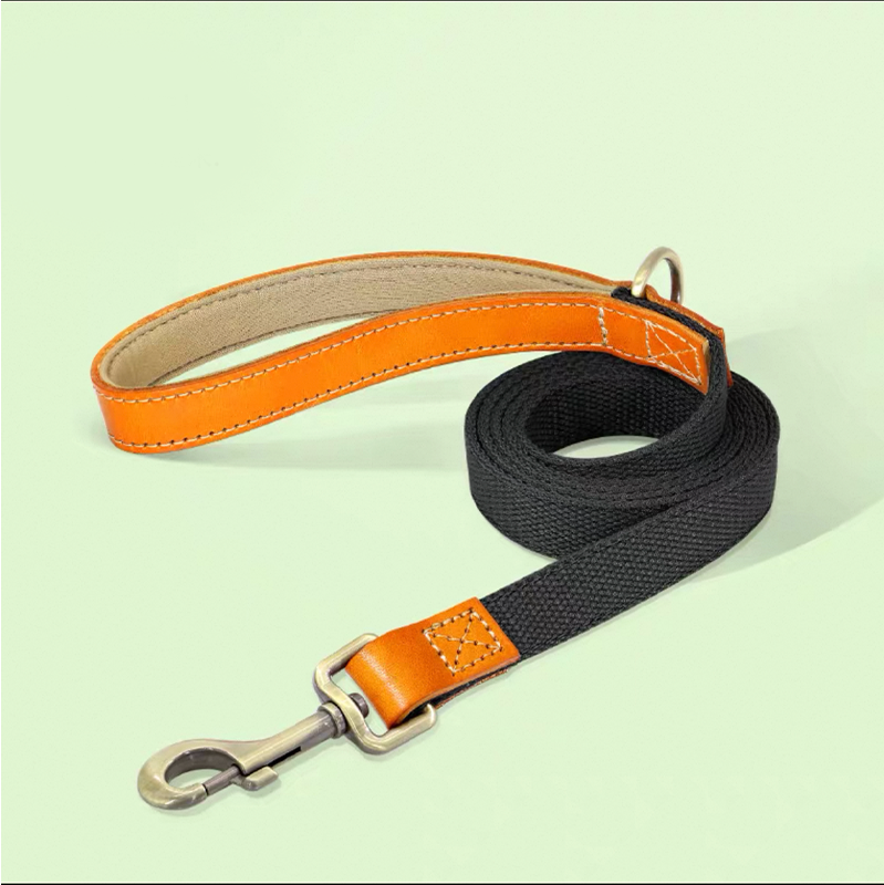 Essential Dog Harness No Pull Vest-Style Double-Clip Control with Leashes - PIKAPIKA