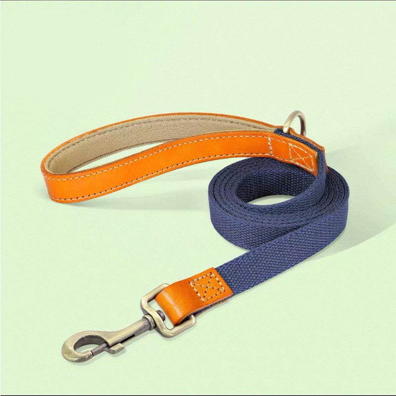 Essential Dog Harness No Pull Vest-Style Double-Clip Control with Leashes - PIKAPIKA