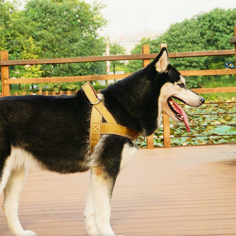 Large Dog Harness Collar Set No-Pull Anti-Escape Handle - PIKAPIKA