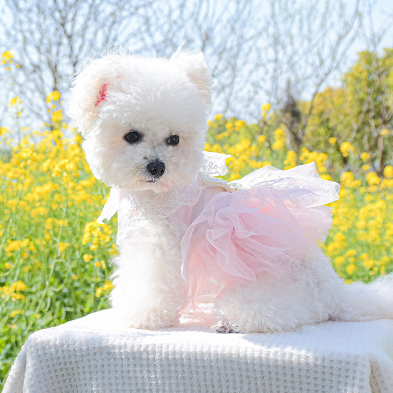 Layered Cake Puppy Dog Princess Dress Dog Clothes