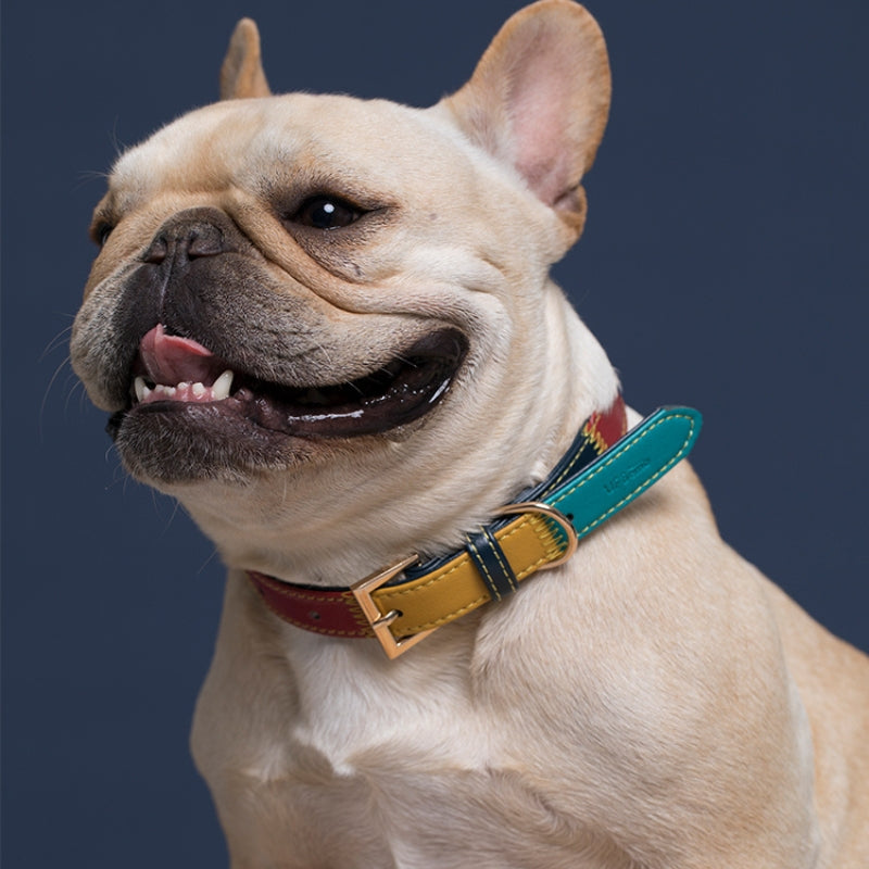 Personalized Pet Collar 4 ft Leash Set Anti-Lost Leather for Small Medium Dog - PIKAPIKA