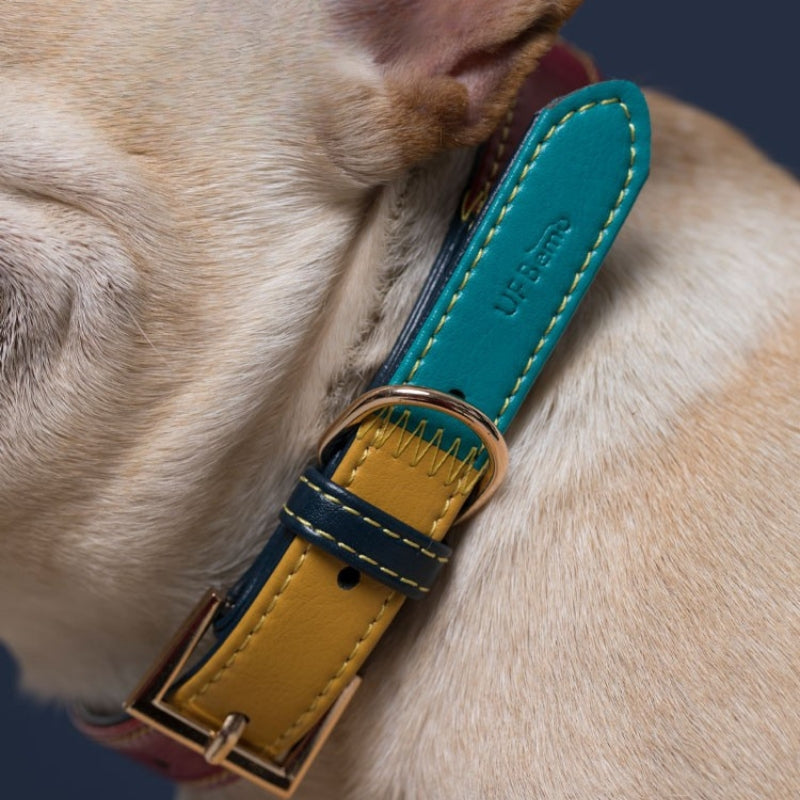 Personalized Pet Collar 4 ft Leash Set Anti-Lost Leather for Small Medium Dog - PIKAPIKA