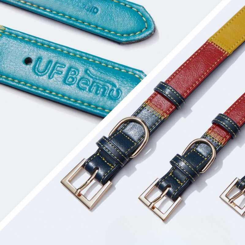 Personalized Pet Collar 4 ft Leash Set Anti-Lost Leather for Small Medium Dog - PIKAPIKA