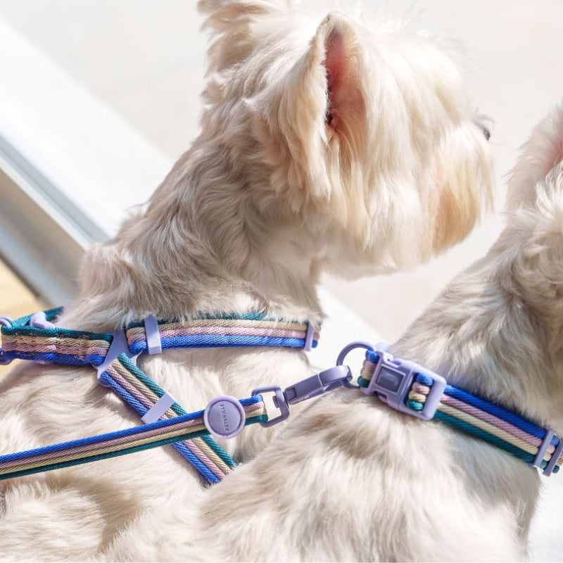 Pet Collar 3.9 ft Leash Set Soft Nylon for Small Medium Dog - PIKAPIKA
