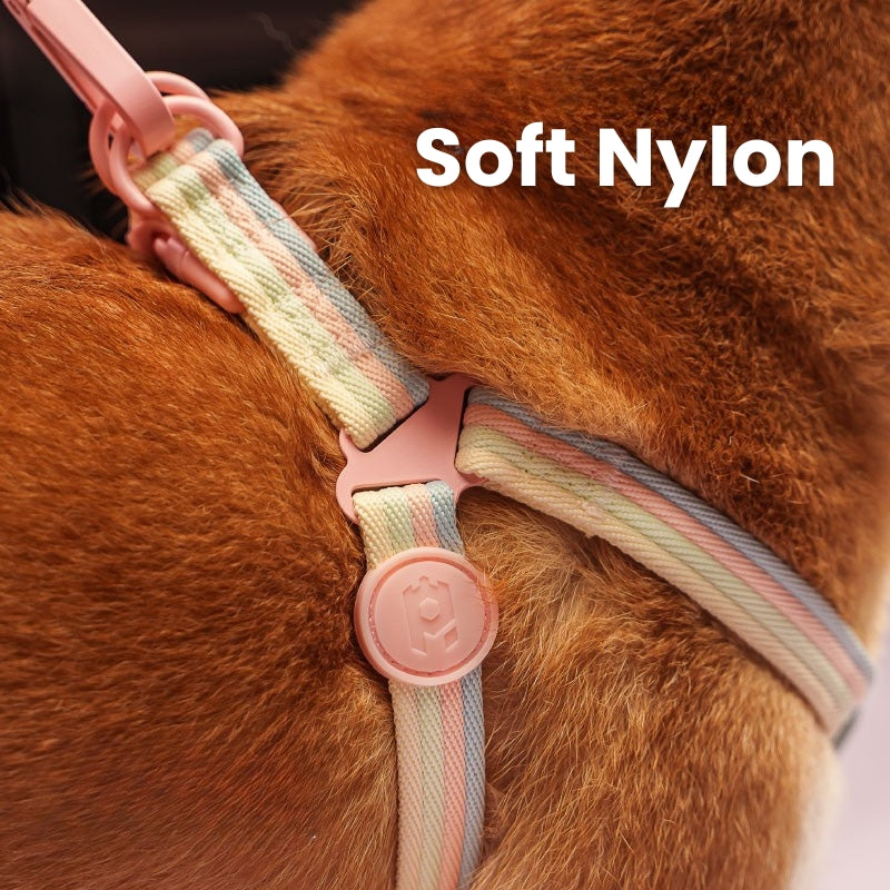 Pet Collar 3.9 ft Leash Set Soft Nylon for Small Medium Dog - PIKAPIKA