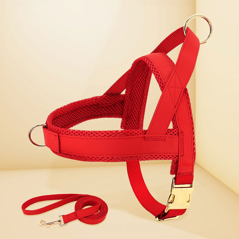 Dog Harness Vest Set Adjustable No-Choke with Leash - PIKAPIKA