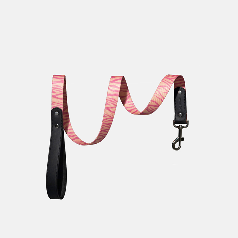 Tangle-Free Leash Anti-Pull Anti-Burn Dog Leash Comfortable Grip for Outdoor Walks - PIKAPIKA