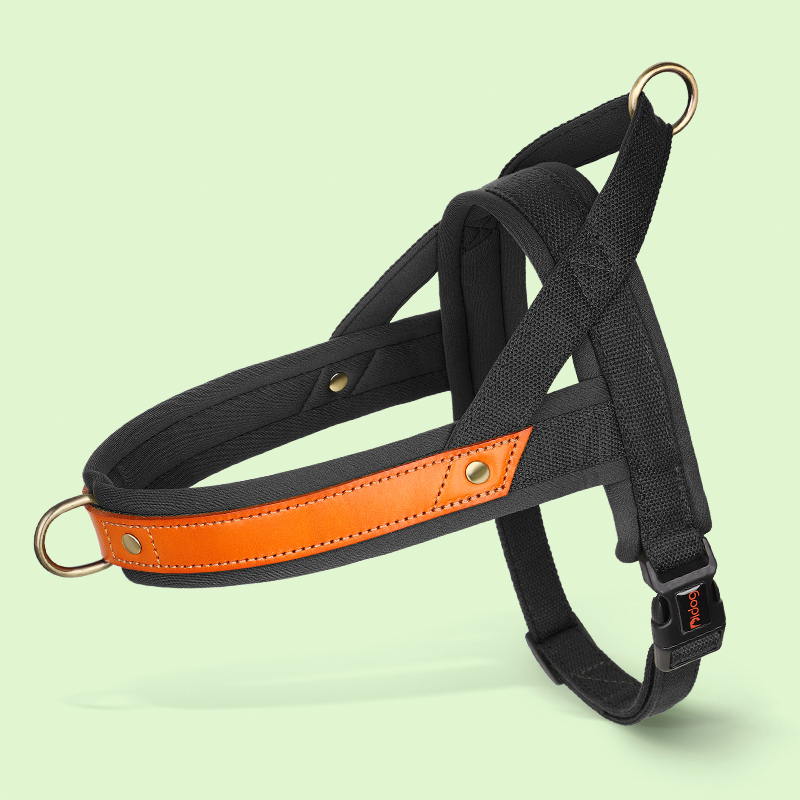 Essential Dog Harness No Pull Vest-Style Double-Clip Control with Leashes - PIKAPIKA