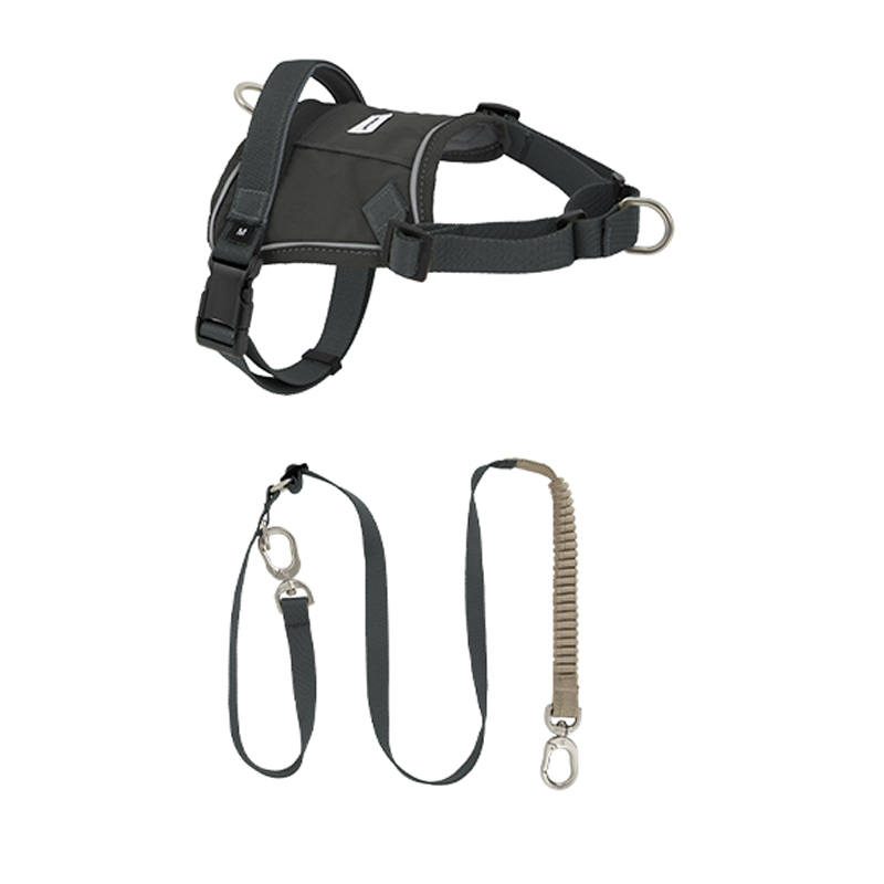 Easy-Wear Dog Harness – Anti-Pull Vest for Small Medium Breeds - PIKAPIKA