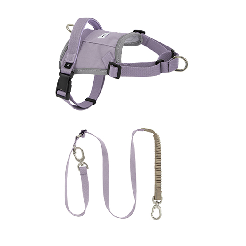 Easy-Wear Dog Harness – Anti-Pull Vest for Small Medium Breeds - PIKAPIKA