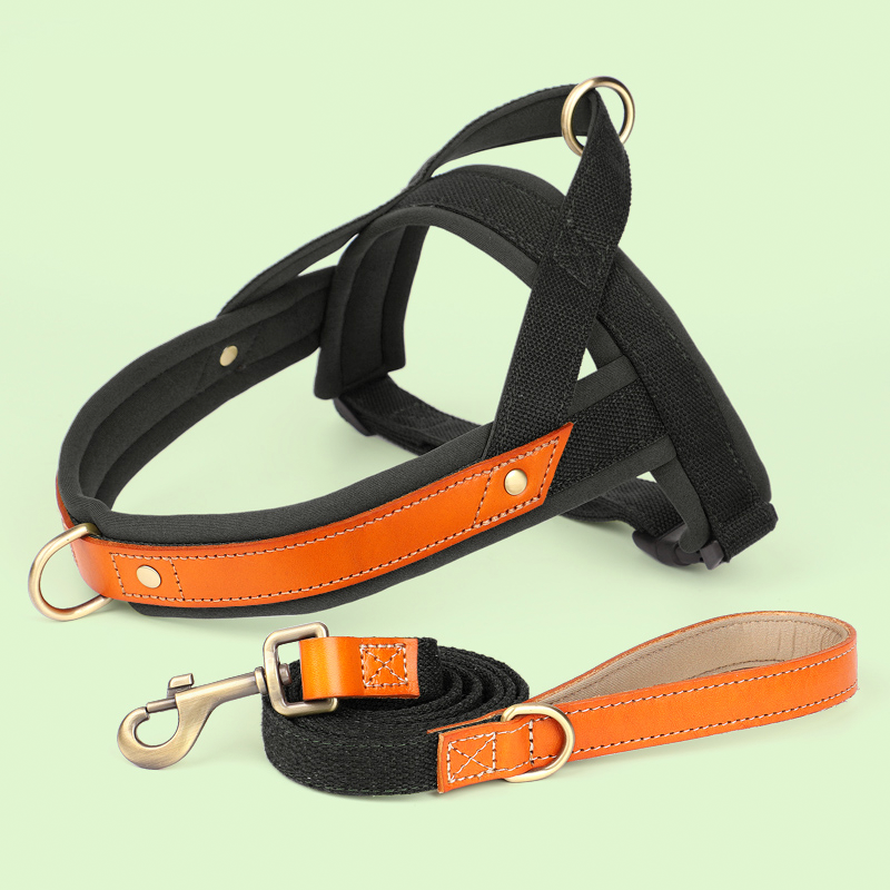 Essential Dog Harness No Pull Vest-Style Double-Clip Control with Leashes - PIKAPIKA