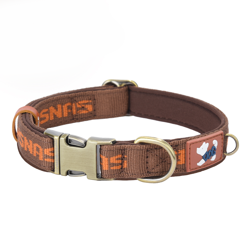 Reinforced Heavy-Duty Webbing Personalized Dog Collar with Word - PIKAPIKA