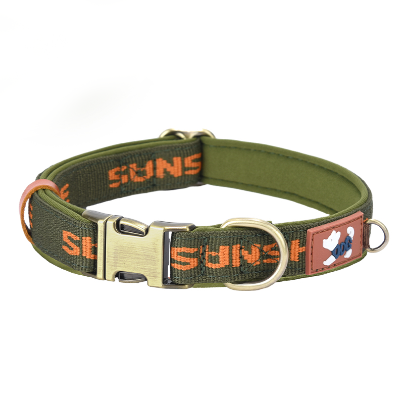 Reinforced Heavy-Duty Webbing Personalized Dog Collar with Word - PIKAPIKA
