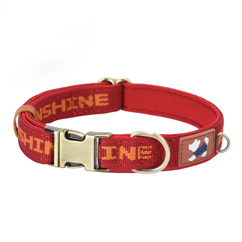 Reinforced Heavy-Duty Webbing Personalized Dog Collar with Word - PIKAPIKA