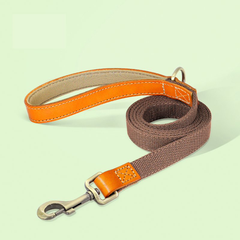 Essential Dog Harness No Pull Vest-Style Double-Clip Control with Leashes - PIKAPIKA
