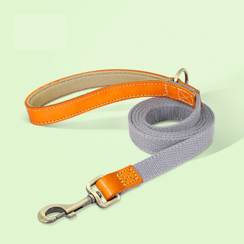 Essential Dog Harness No Pull Vest-Style Double-Clip Control with Leashes - PIKAPIKA